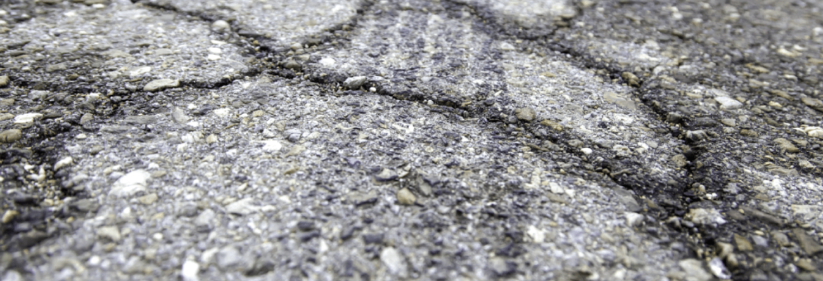 The Asphalt Guy 